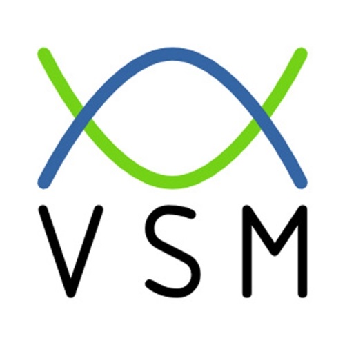 VSM Programs